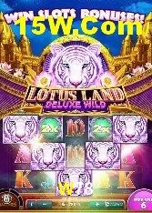 Casino Ao Vivo W78